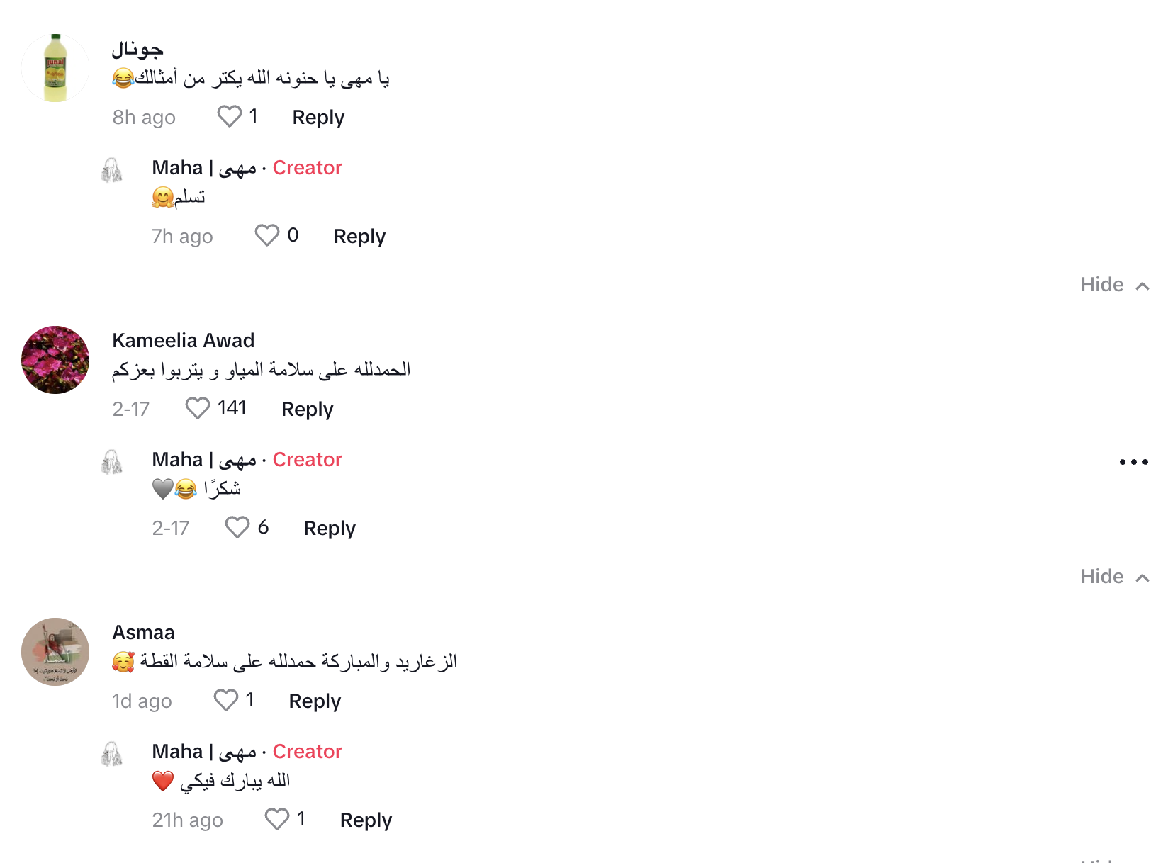 قطة
